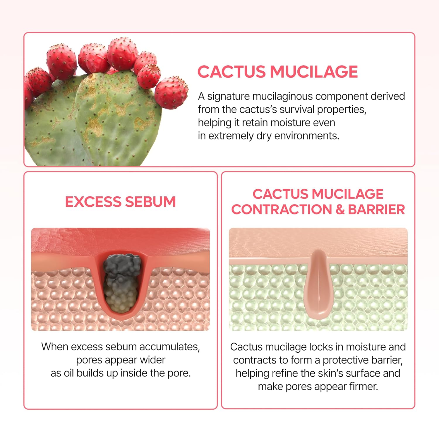 Dr. Melaxin CACTOX Pore Relief Dual Capsule Cream