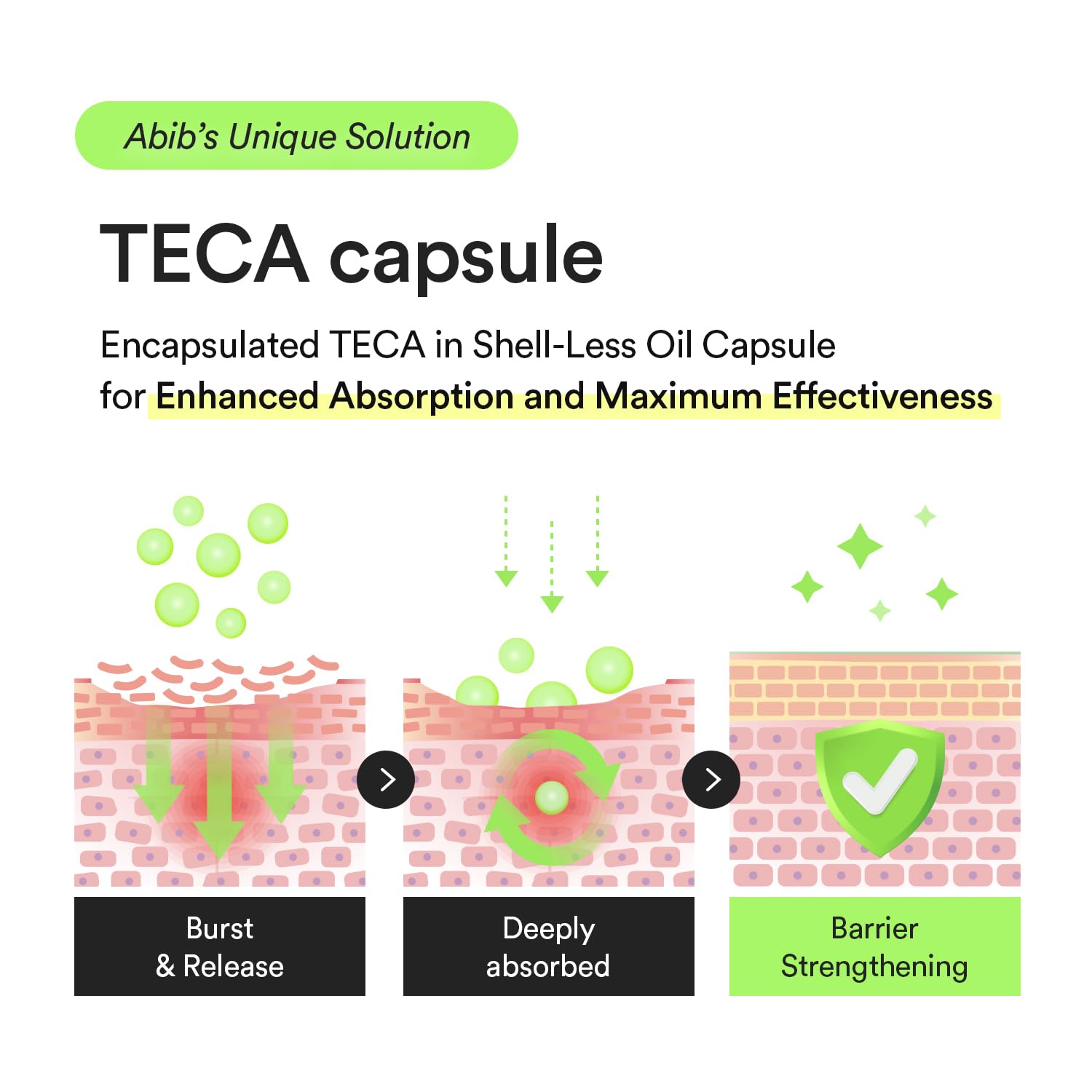 Abib Heartleaf TECA Capsule Serum