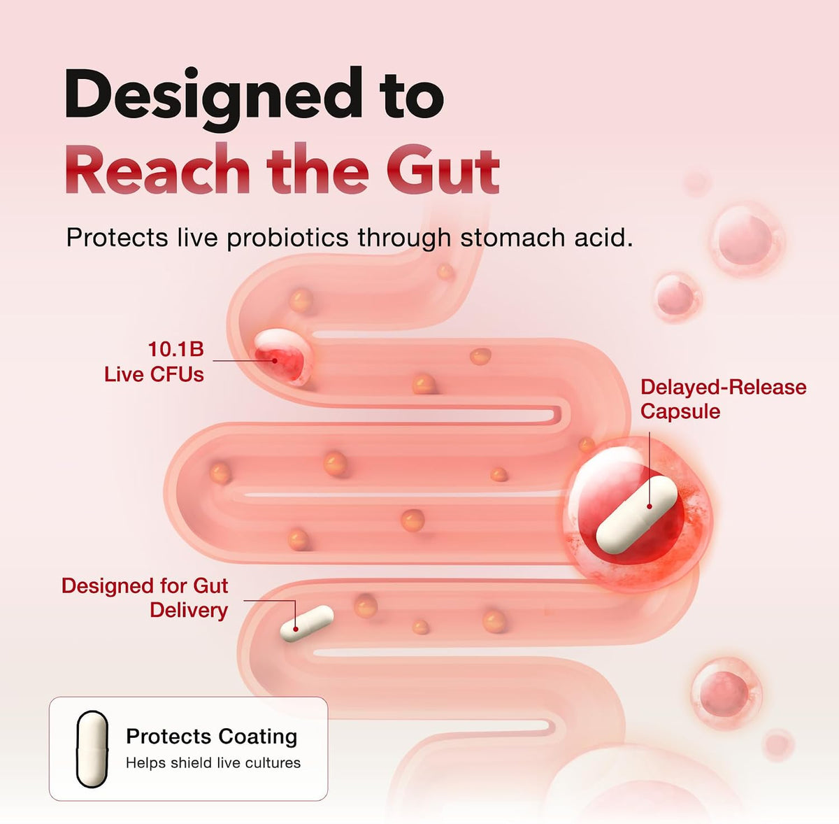 Foodology Coleology Cut Probiotics
