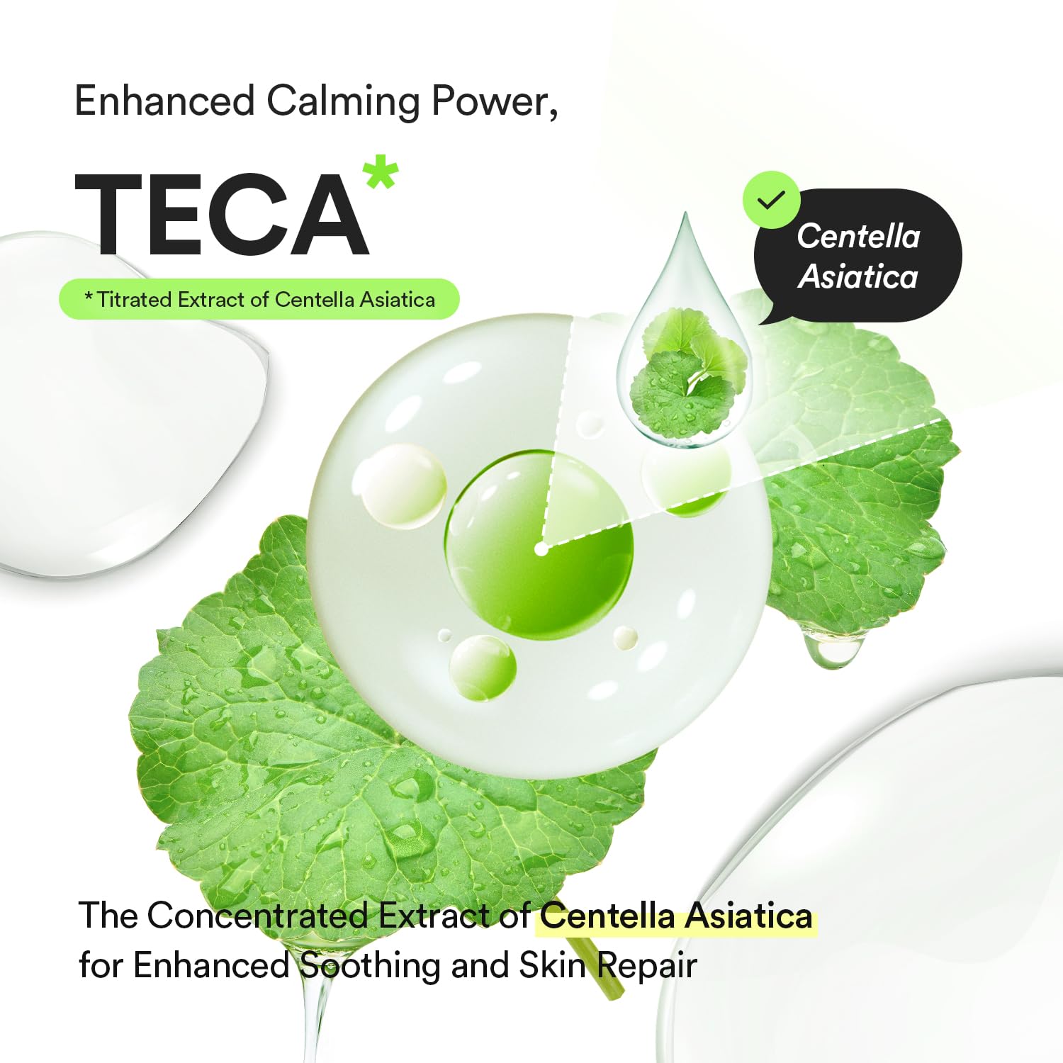 Abib Heartleaf TECA Capsule Serum