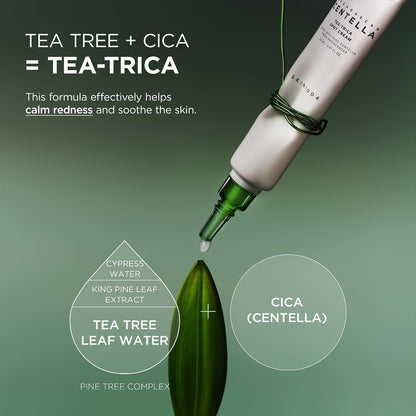 SKIN1004 Madagascar Centella Tea-Trica Spot Cream