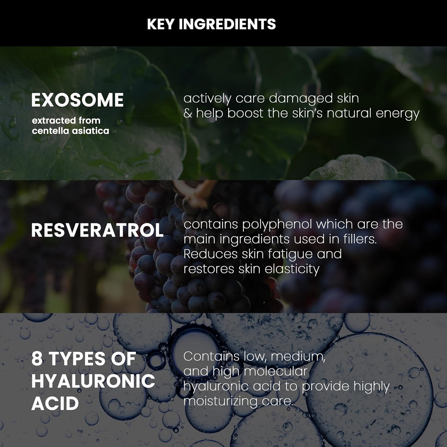 NEOGEN Dermalogy High R Exosome Cream