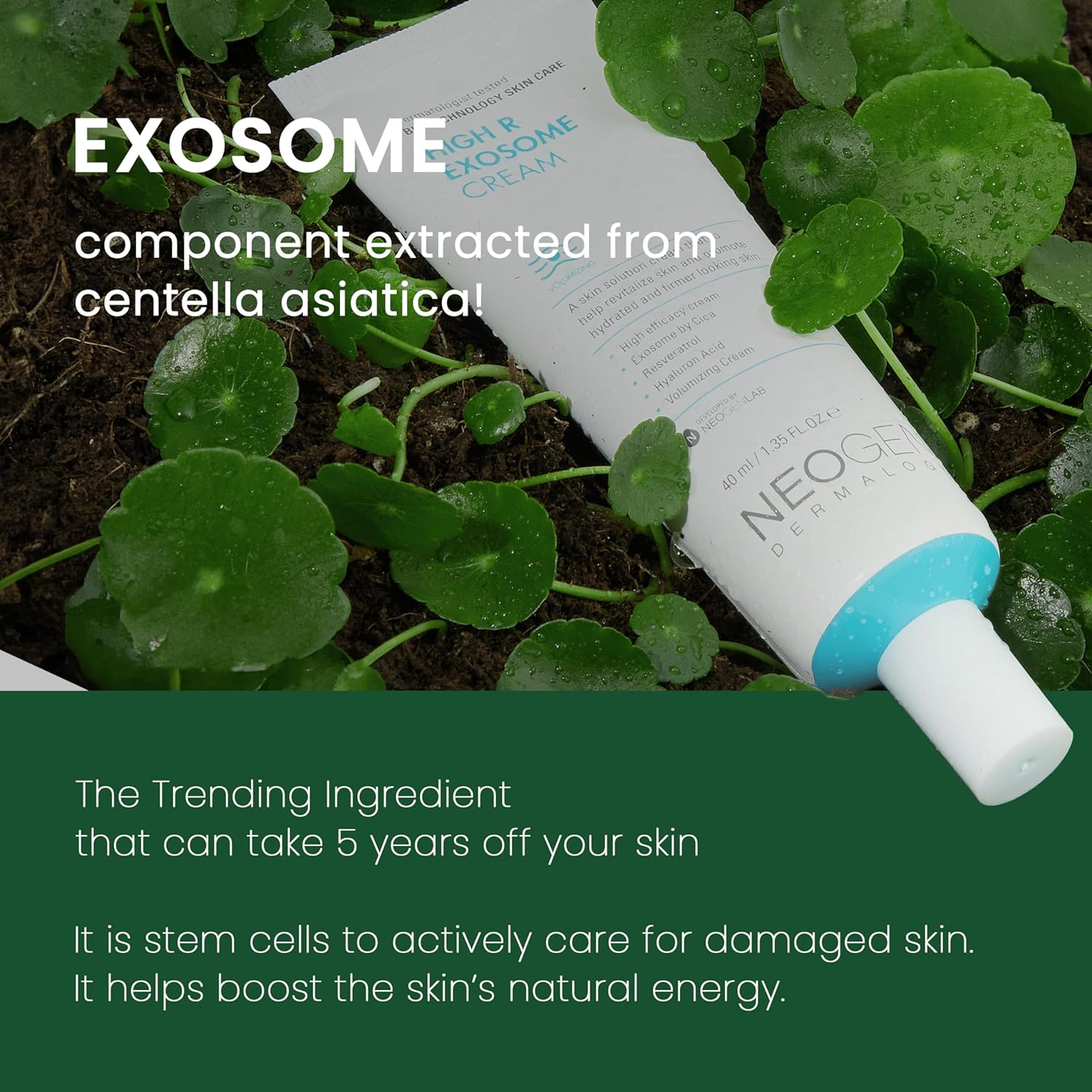 NEOGEN Dermalogy High R Exosome Cream